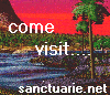 Sanctuarie plus size and super size women's clothing, evening dresses and more